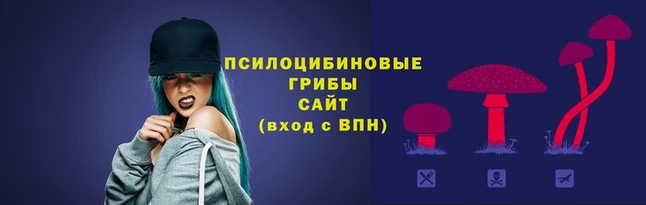 СК Киренск