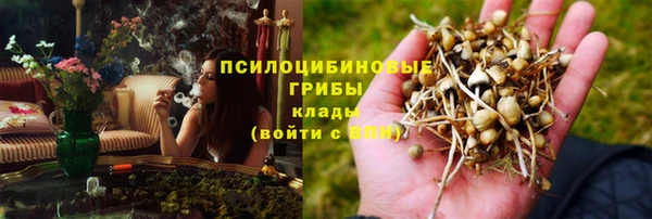 ГАЛЛЮЦИНОГЕННЫЕ ГРИБЫ Киреевск